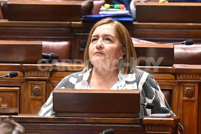 Comisión de Diputados aprobó declarar de gala la vestimenta gauchesca