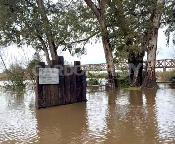 El río San José alcanzó cuatro metros y el CECOED mantiene el seguimiento de la creciente